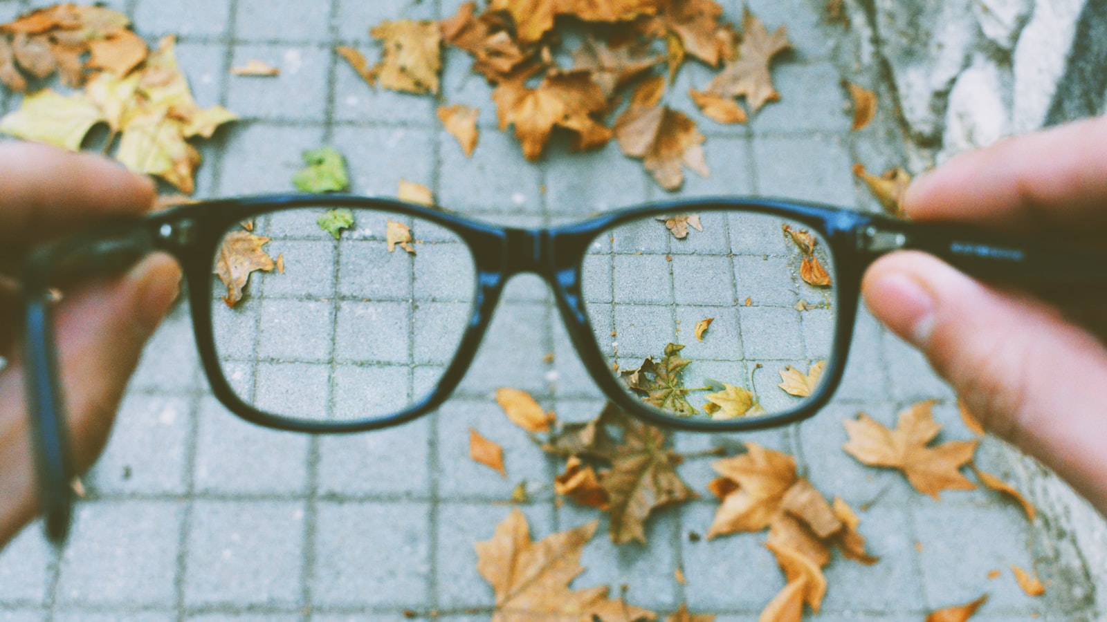 Eyeglasses held up showing a clean, clear lens — how to clean glasses without scratching