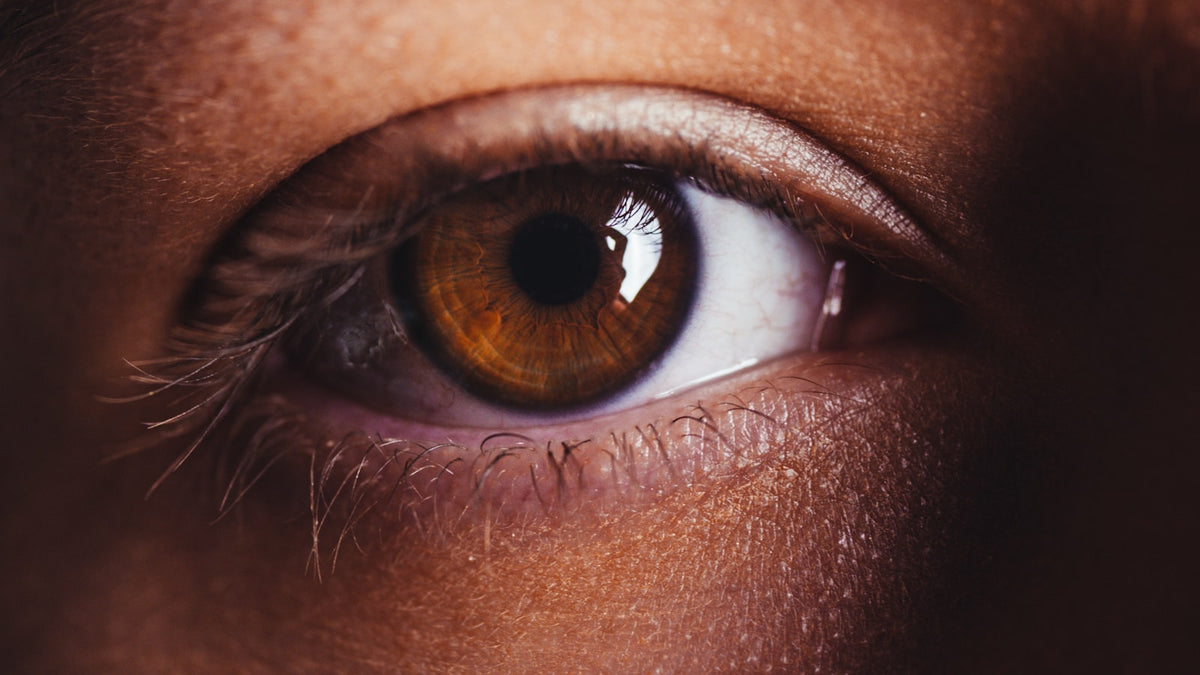 Close-up of a healthy human eye in natural light