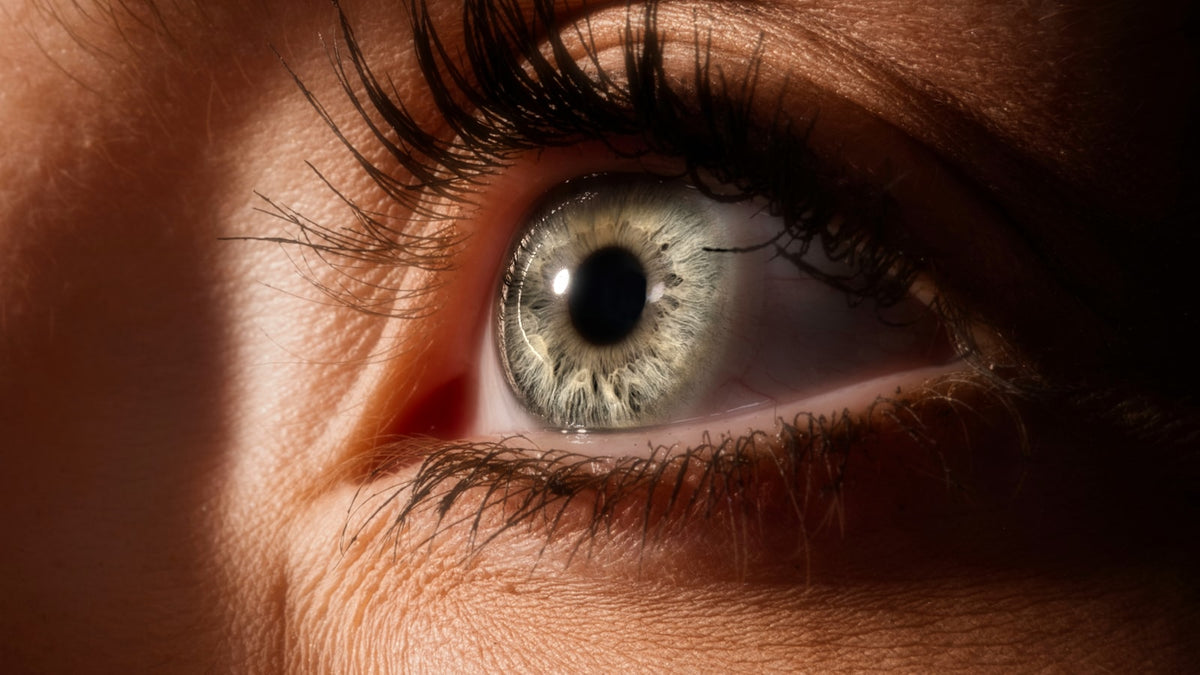 Close-up of eyes behind glasses