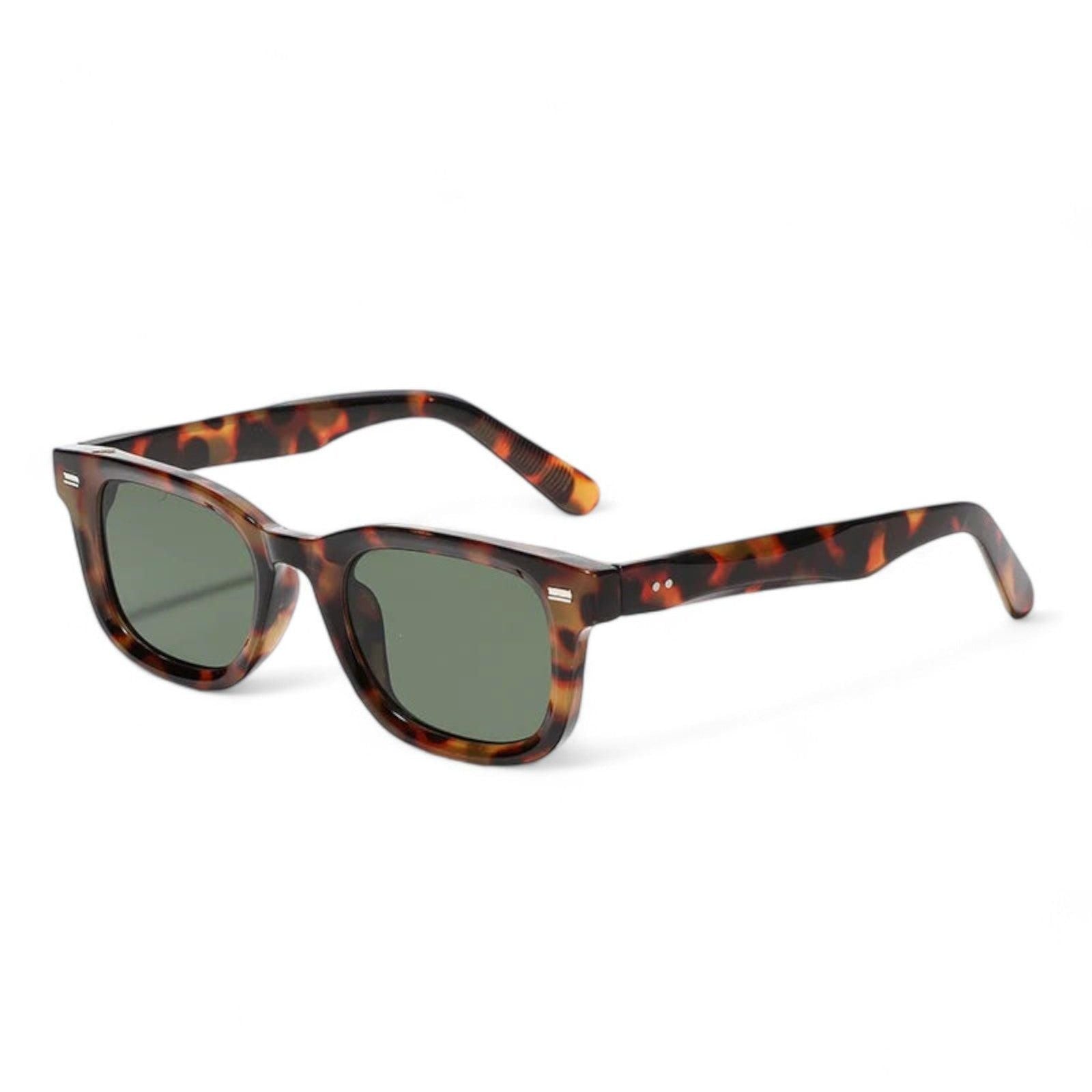 Retro Mens Sunglasses with Sleek Modern Design-6