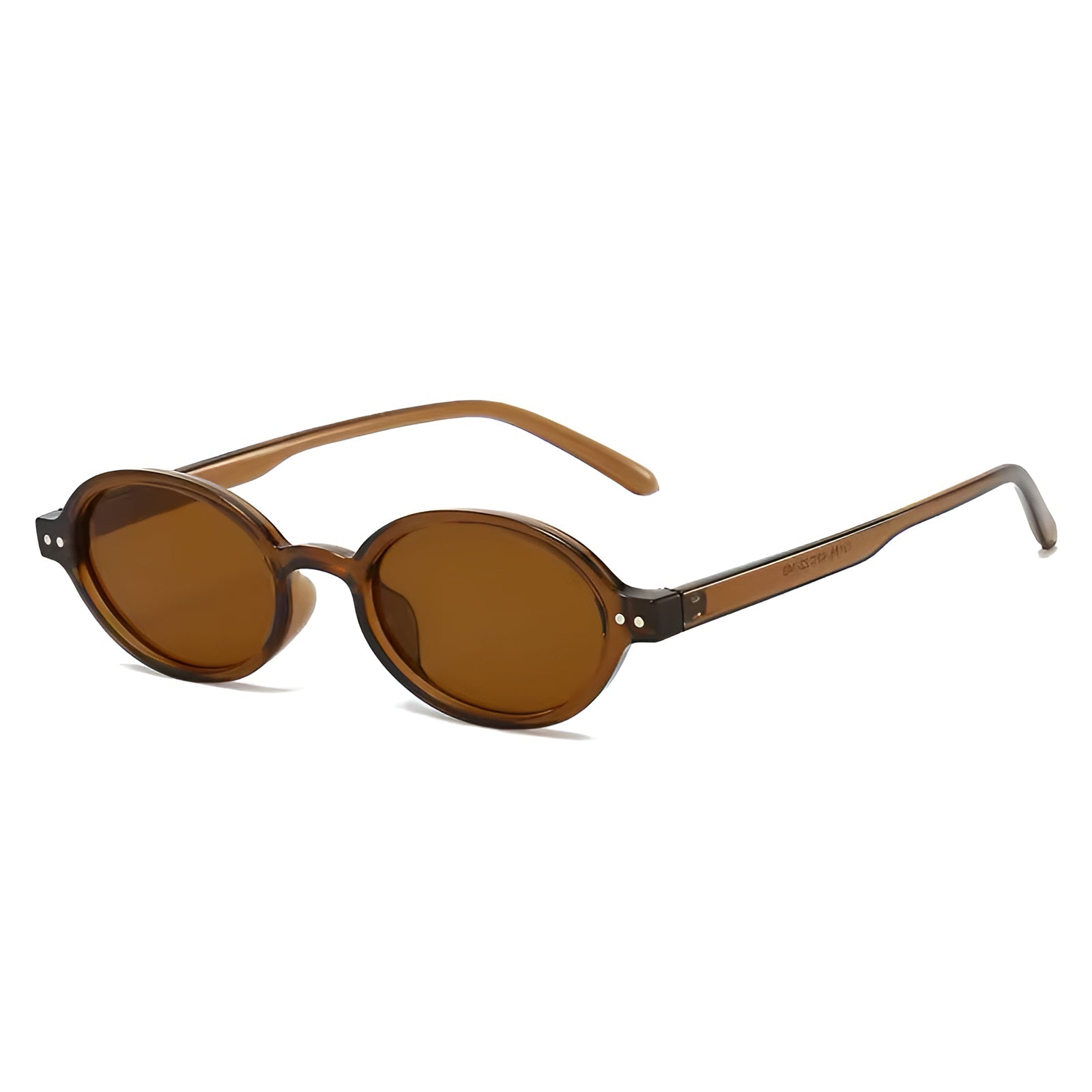 minimalist round sunglasses brown tortoise frame