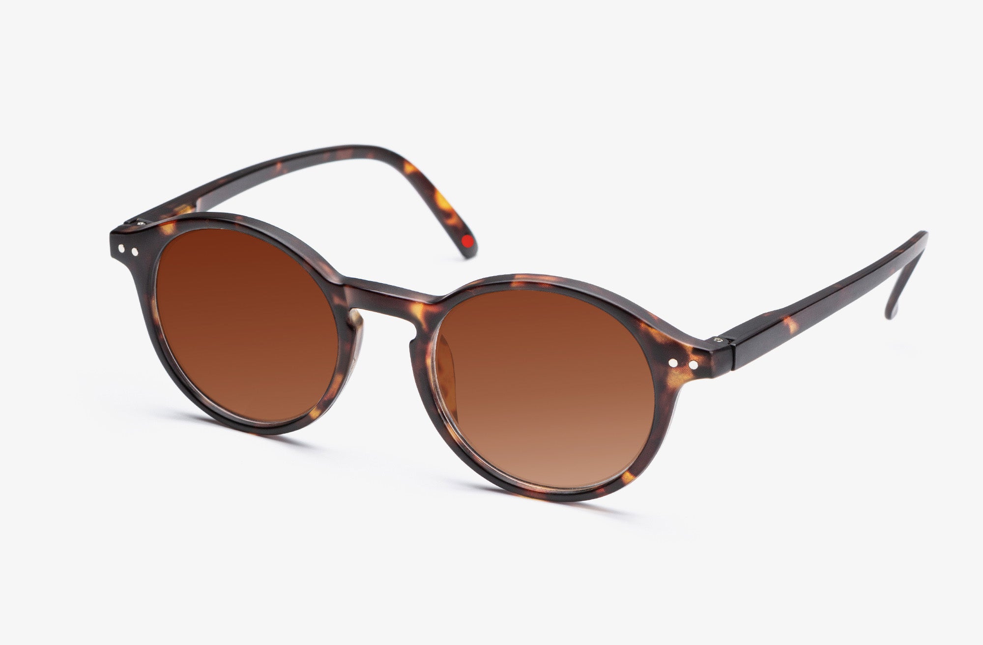 polarized round sunglasses tortoise frame close up